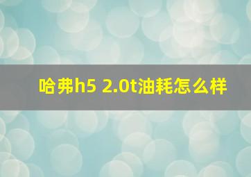 哈弗h5 2.0t油耗怎么样